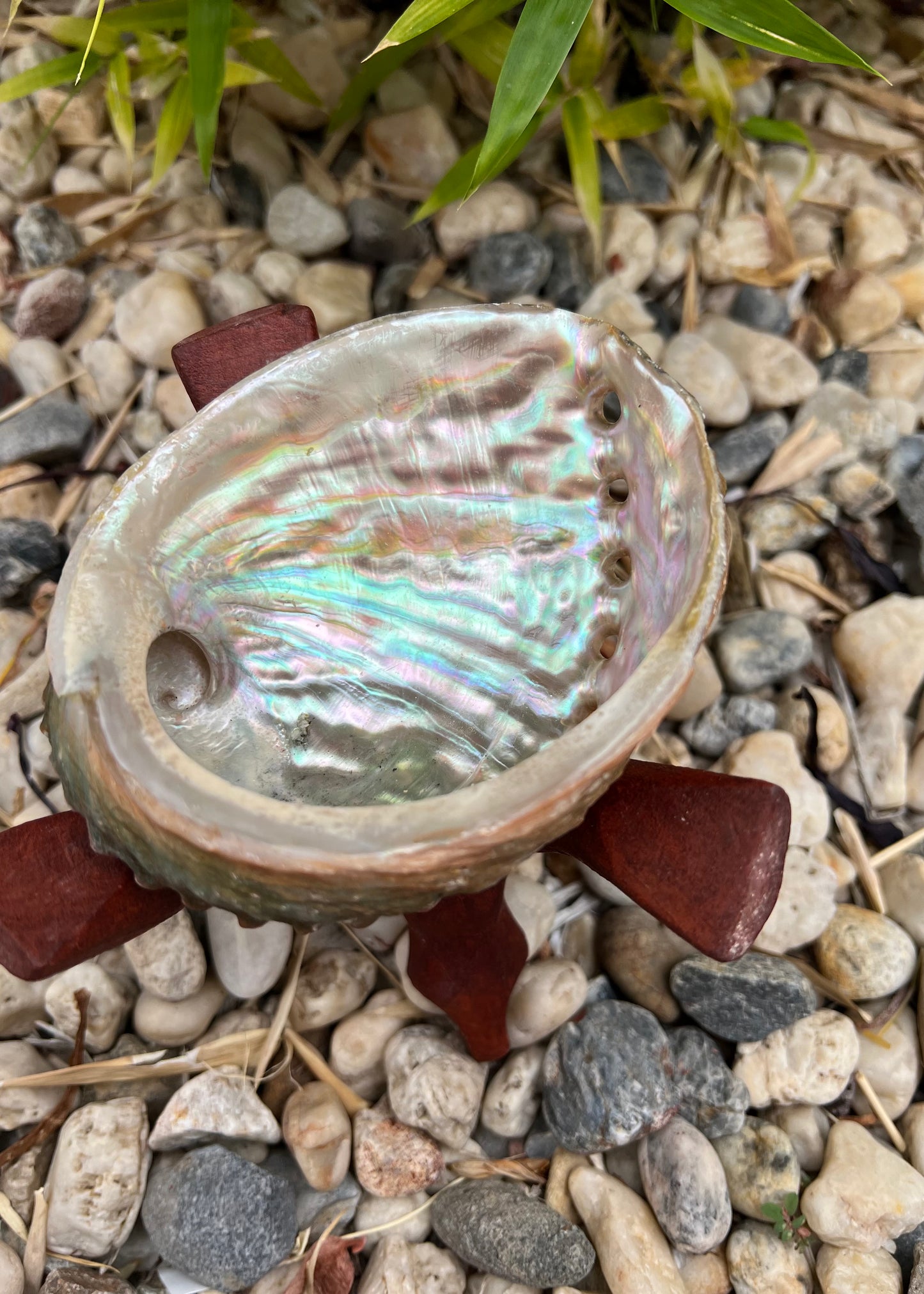Sage and Smudging